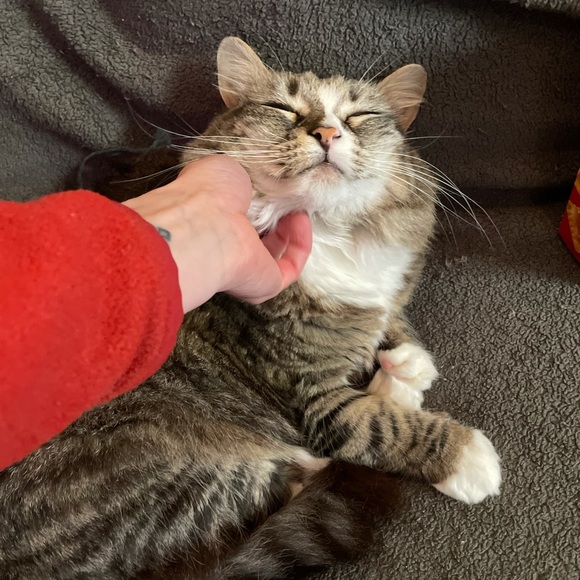 Meet your Posher, Brea!✨ - Picture 5 of 11